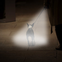 Load image into Gallery viewer, Cat Laser Pointer Toys with USB Charging