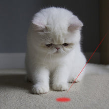 Load image into Gallery viewer, Cat Laser Pointer Toys with USB Charging
