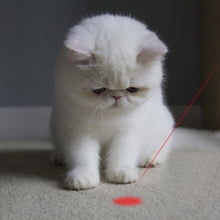 Load image into Gallery viewer, Cat Laser Pointer Toys with USB Charging
