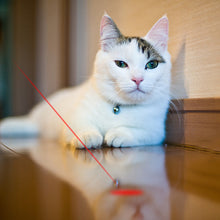Load image into Gallery viewer, Cat Laser Pointer Toys with USB Charging
